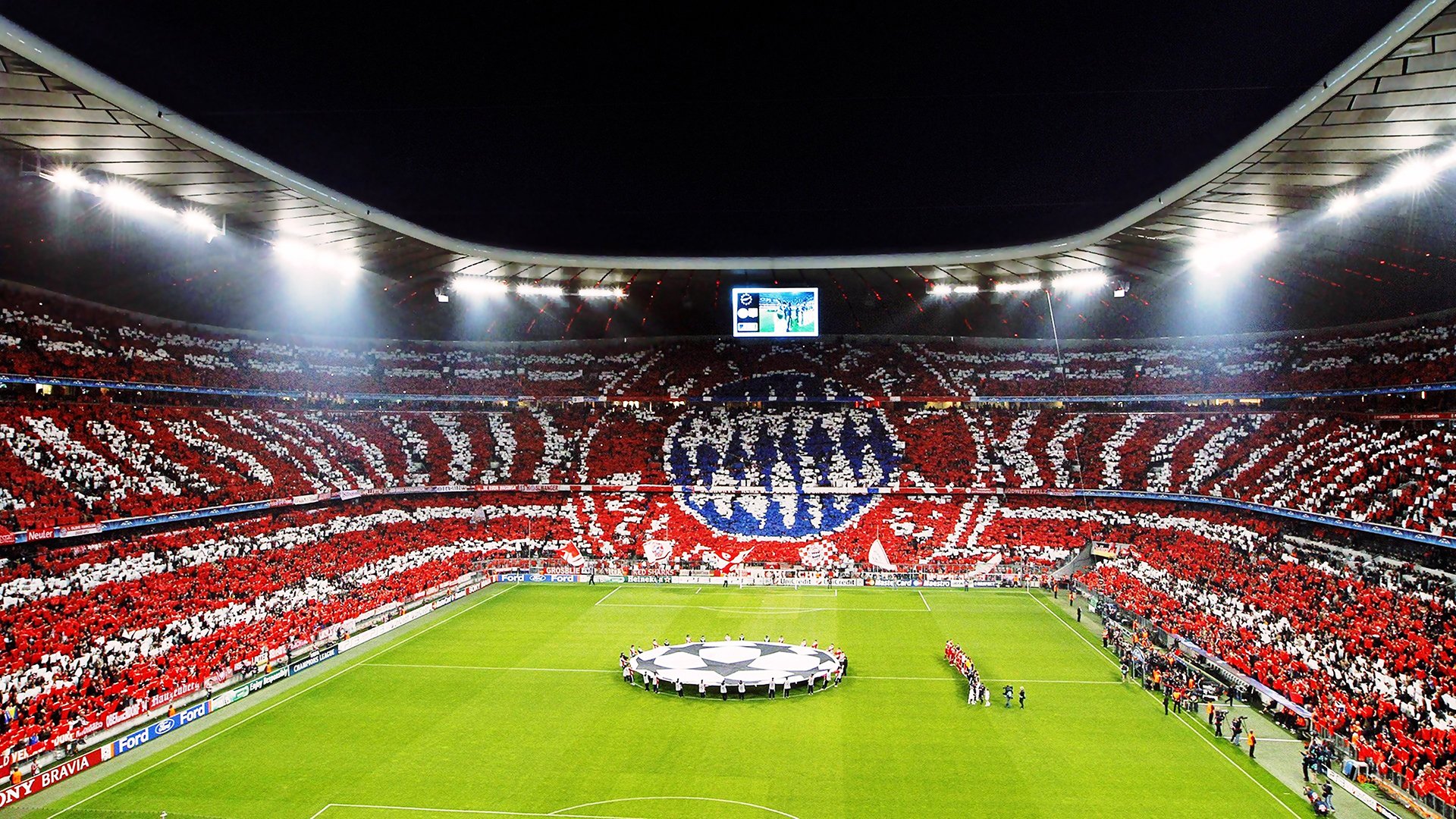 世界短道速滑教练互访成果展示：战术交流推动训练创新，世界短道速滑视频